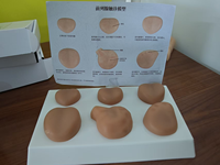 Simulateur de prostate masculin, modèle de mannequin de bureau en matériau PET avec sensation de toucher réel pour usage médical