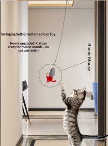 Nouveau jouet électrique écologique pour animaux de compagnie, plume <span class=keywords><strong>Yo</strong></span>-<span class=keywords><strong>Yo</strong></span> à suspendre à la porte pour le divertissement autonome des chiens, style dessin animé intelligent, pour les fêtes - Product Image 5