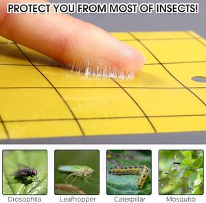 Bán Hàng Nóng Tùy Chỉnh Trong Các Kích Cỡ Khác Nhau Côn Trùng Lỗ<span class=keywords><strong>i</strong></span> Sticker Keo Bẫy Vàng Keo Hộ<span class=keywords><strong>i</strong></span> Đồng Quản Trị Dính Trá<span class=keywords><strong>i</strong></span> Cây Fly Bẫy - Product Image 3