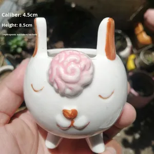 Vaso di fiori in ceramica piccolo succulento vaso decorativo per piante da interno Panda rosso moderno Kit idroponico creativo personalizzato - Product Image 1