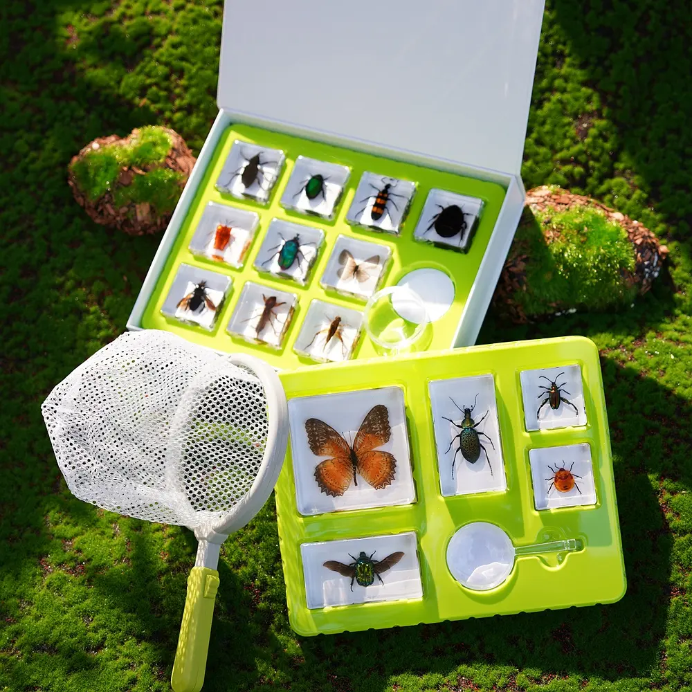 가르치는 자원 10 수지 곤충 표본 곤충 수집 수지 견본 아이들의 과학 교육 장난감 (나비)