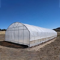 Serre tunnel agricole économique à structure en acier galvanisé et film plastique pour la culture commerciale de légumes