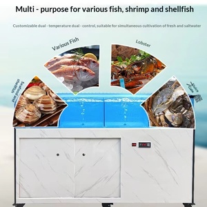 Sistema de Acuario Comercial Industrial con Refrigeración y Filtración para Pescaderías de Supermercados - Product Image 2