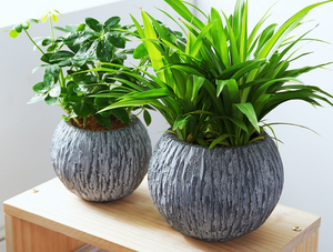 Serie de macetas de hormigón, elegante y versátil, pintura a mano, <span class=keywords><strong>piedra</strong></span> de imitación, óxido, contenedor cuadrado para plantas para el hogar - Product Image 4