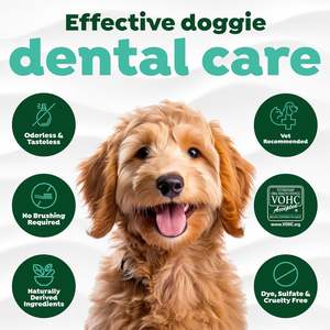 Aditivo para el Agua para Perros, Refrescante del <span class=keywords><strong>Aliento</strong></span> y Solución de Limpieza Dental, Sin Necesidad de Pasta Dental ni Cepillo de Dientes - Product Image 4
