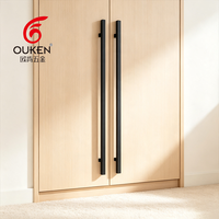 Manijas de puerta de lujo con acabado mate en el centro y pulido en las extremidades, manija de puerta de acero inoxidable de doble barra, manija de puerta moderna para hotel, villa, madera y vidrio