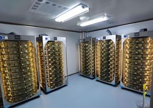 Arredamento e Attrezzature da Laboratorio con Sistema di Ventilazione Centrale <span class=keywords><strong>EVC</strong></span> - per Topi. - Product Image 4