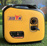 Générateur onduleur à onde sinusoïdale pure 2 kW BISON (CHINE) – Commande en gros pour les détaillants d'électronique et les fournisseurs d'équipements de plein air