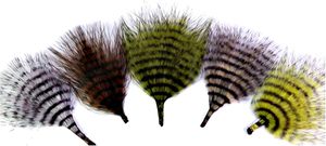 Piume di Tacchino Marabou a Strisce Marroni/Oliva per Fai da Te, Artigianato, Costumi, Materiale per Mosche da Pesca, Ornamenti, Frange Decorative - Product Image 2