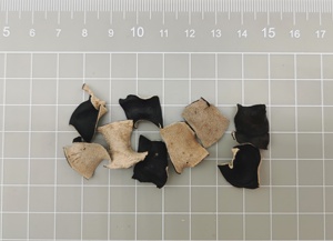 Rebanadas de oreja de comida china de fábrica de suministro <span class=keywords><strong>Hongo</strong></span> negro seco <span class=keywords><strong>Hongo</strong></span> negro de espalda blanca - Product Image 2