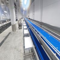 Ligne de traitement des bovins et des moutons d'abattoir de haute qualité Machines de ligne de convoyeur de coupe de viande pour poulet boeuf et porc