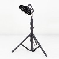 Lampe de séchage infrarouge 1200W OEM/ODM pour peinture, portable, pour réparation de bosses de carrosserie automobile, avec trépied