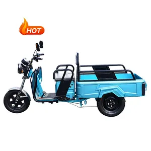 USA Hot Sell 60v 800W Adult Motorcycle Three Wheel Cargo electric chinese tricycle