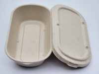 Boîte alimentaire compostable en bagasse de 800 ml, 750 ml, 850 ml pour les fêtes et les restaurants