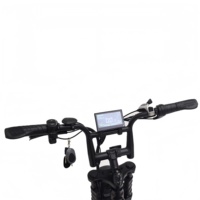 Nouveau Modèle 2025 V8 Max Vélo Électrique 250W pour Adultes Batterie 48V 15Ah Autonomie 45-55 Miles Fatbike 20*4.0 Pouces avec Moteur à Moyeu Arrière