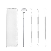 Kit d'outils dentaires en acier inoxydable pour le nettoyage des dents, détartreur, cure-dents, pinces, éliminateur de plaque et de tartre, ensemble de soins bucco-dentaires avec sac de rangement