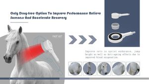 Peralatan fisioterapi Laser terapi nyeri alat terapi fisik Pemf terapi magnetis kuda - Product Image 3
