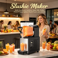 Machine à slush compacte à cuve unique, équipement de comptoir pour boissons glacées, idéale pour la production de boissons à la maison, en cuisine ou lors de fêtes