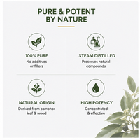 Huile essentielle de camphre, parfum boisé frais, distillée à la vapeur pour l'aromathérapie, la fabrication de parfums, de savons et de bougies