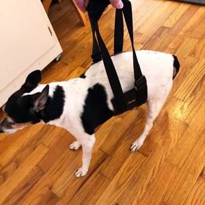 Yardım koşum desteği 20-60 Lbs köpek kalça ve arka bacak desteği araba merdiven ve yürüyüş için Sling köpek asansörler - Product Image 6