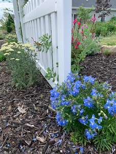 3ft H x 6ft B Hekwerkset Wit Vinyl Schutting Eenvoudige Installatie Buitenhek voor Achtertuin of Patio DIY Decoratief Hekwerk - Product Image 6