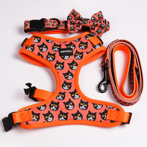 OKEYPETS-Collar para perro, Correa y pajarita a la moda, fabricantes de tecnología avanzada, conjunto de correa - Product Image 6