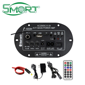 <span class=keywords><strong>Amplificatore</strong></span> Digitale Smart Electronics da 8 Pollici con <span class=keywords><strong>Microfono</strong></span> Integrato, Scheda <span class=keywords><strong>Amplificatore</strong></span> Mono - Product Image 2
