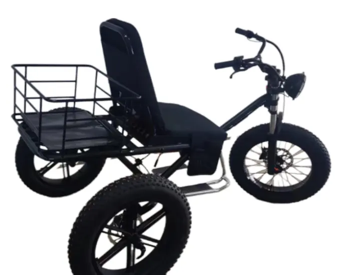 Новейшая запатентованная модель амортизационного мягкого хвоста с грузовым конкурентоспособным электрическим трехколесным велосипедом