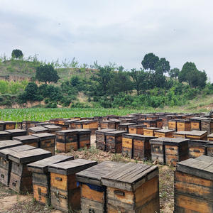 Fabricant de comprimés de gelée <span class=keywords><strong>royale</strong></span> fraîche séchée biologique à haute teneur en 10-HDA - Product Image 4