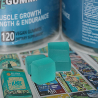 Nutrition sportive fitness suppléments de musculation pré-entraînement puissance pré-entraînement booster d'énergie gommes monohydratées de créatine