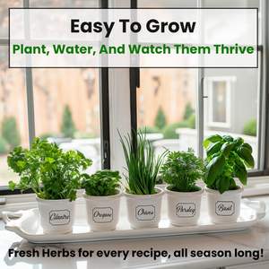 Kit de 5 variétés d'herbes, motif carré, fibres végétales, comprenant origan, coriandre, persil, <span class=keywords><strong>basilic</strong></span>, <span class=keywords><strong>ciboulette</strong></span> - Product Image 2