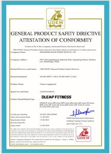 Attrezzatura <span class=keywords><strong>Fitness</strong></span> OEM ODM con Logo Personalizzato, Tubo <span class=keywords><strong>in</strong></span> Acciaio da 3,0mm per Palestre e Centri <span class=keywords><strong>Fitness</strong></span>, Macchina a 8 Stazioni - Product Image 6