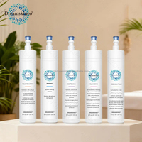 Dreamskineo Hydra Solution Aqua Facial Serum Booster Aloe Vera Té Verde Vitamina C Ácido Hialurónico-250ml Sin Silicona
