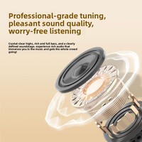 AKZ 802 Nouveauté Transfrontalière Casque Circum-auriculaire ANC Anti-bruit Étanche IPX4 Type-C Sans Fil Longue Autonomie