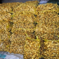 Extracteur de gingembre jaune du sénégal, haute qualité, extracteur de gingembre frais