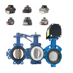 Actuador Neumático con Válvulas 990/920 y Interruptor de Límite Topworx para - Product Image 2