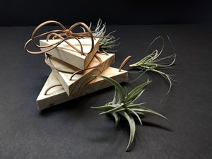 Chuỗi Cây Kệ 3 Tầng Treo Kệ Tam Giác Cây Móc Áo Quà Tặng Cây Giữ Không Khí - Product Image 2