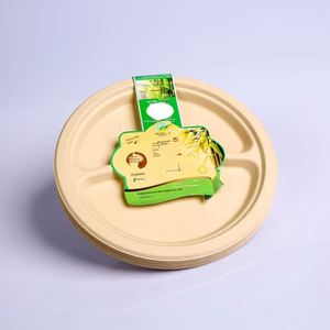 Assiettes jetables de haute qualité, biodégradables et respectueuses de l'environnement, avec impression de logo personnalisé pour les activités de camping - Product Image 4