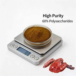 Extrait de Ganoderma Lucidum de qualité alimentaire, en poudre séchée par pulvérisation, <span class=keywords><strong>champignon</strong></span> Reishi, 10%-50% polysaccharides, 2%-10% triterpènes - Product Image 6
