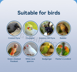 Jaula Grande <span class=keywords><strong>para</strong></span> Pájaros, Ideal <span class=keywords><strong>para</strong></span> Loros Pequeños, Periquitos, Calopsitas, Finches, Agapornis, <span class=keywords><strong>Canarios</strong></span> y Otras Aves - Product Image 6