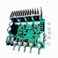 Papan Amplifier Audio 250W*2 HIFI Stereo Amplifikasi Digital Reverb Pengontrol Nada Power Amplifier