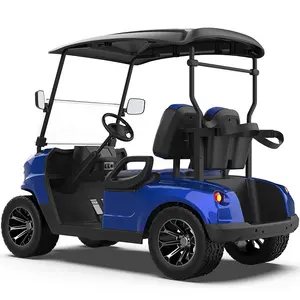 Factory Buggy Golfcarts con acelerador de pie 2 asientos Coche 2 plazas Carrito de golf Chino Eléctrico CE 48V 3M Kit Luces Club Car Tempo