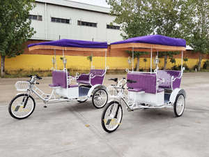 Voiture électrique de tourisme rouge / Tricycle électrique OEM / Tuk-tuk / Riksha pour passagers à vendre - Product Image 1
