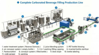 Solution clé en main pour la remplisseuse automatique de boissons énergisantes gazeuses en bouteilles PET, ligne de remplissage de sodas et de boissons gazeuses