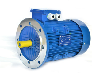 มอเตอร์เหนี่ยวนำไฟฟ้ากระแสสลับเฟสเดียว 110v 120v 220v 230v 240v 380v 400v 415v 110 120 220 230 240 380 400 โวลต์ จากผู้ผลิต - Product Image 2