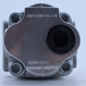 Pompe hydraulique d'origine SDYB SDB SDY SGP SGP1 SGP2 Série SDY1A SDY1A3616L168 Pompe à engrenages hydraulique haute performance pour pompe à engrenages SGP1 SGP1 G - Product Image 6