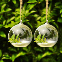 Vase globe rond en verre transparent suspendu, design moderne et créatif, léger, pour plantes et fleurs, décoration pour la maison, le jardin et le bureau, 10 cm