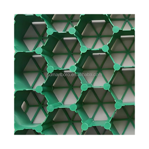 <span class=keywords><strong>Griglie</strong></span> <span class=keywords><strong>per</strong></span> pavimentazioni in plastica industriale <span class=keywords><strong>per</strong></span> giardino e parcheggio <span class=keywords><strong>per</strong></span> auto prodotti <span class=keywords><strong>per</strong></span> pavimentazioni in ghiaia - Product Image 4