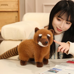 Muñeco de peluche de <span class=keywords><strong>mapache</strong></span> realista Popular, muñeca sudamericana, zoológico, juguete de regalo para niños - Product Image 4