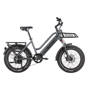 Bicicleta de Montaña Eléctrica Usada China con Motor RSD-EB-S20 / Bicicleta con Motor / Bicicletas Motorizadas Eléctricas / Mejores Bicicletas Eléctricas - Product Image 6